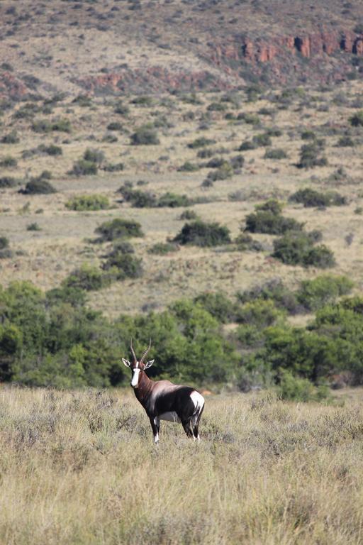 Ko Ka Tsara Bush Camp Villa Beaufort West Eksteriør billede